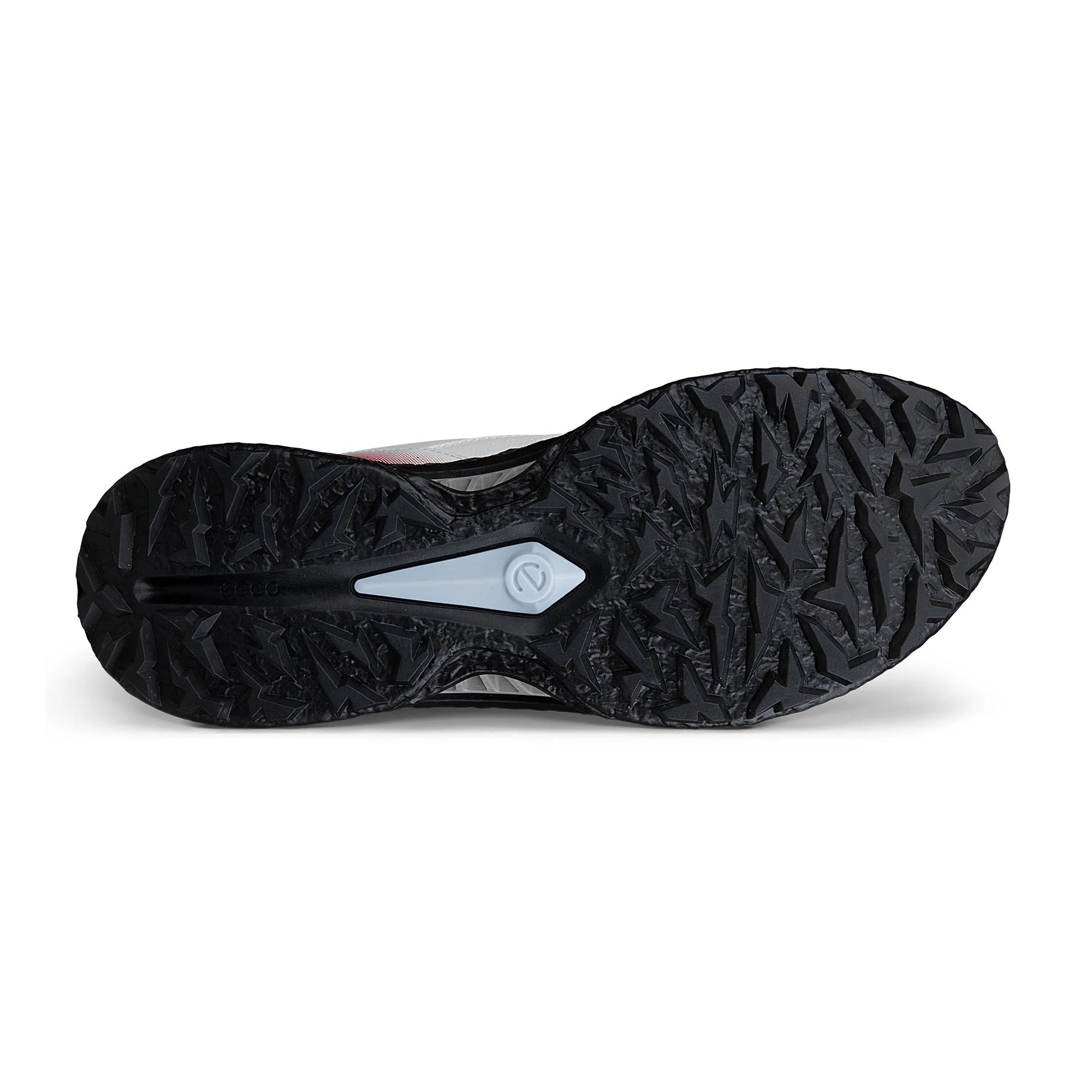 Ecco Biom C5 BOA Golf Shoe