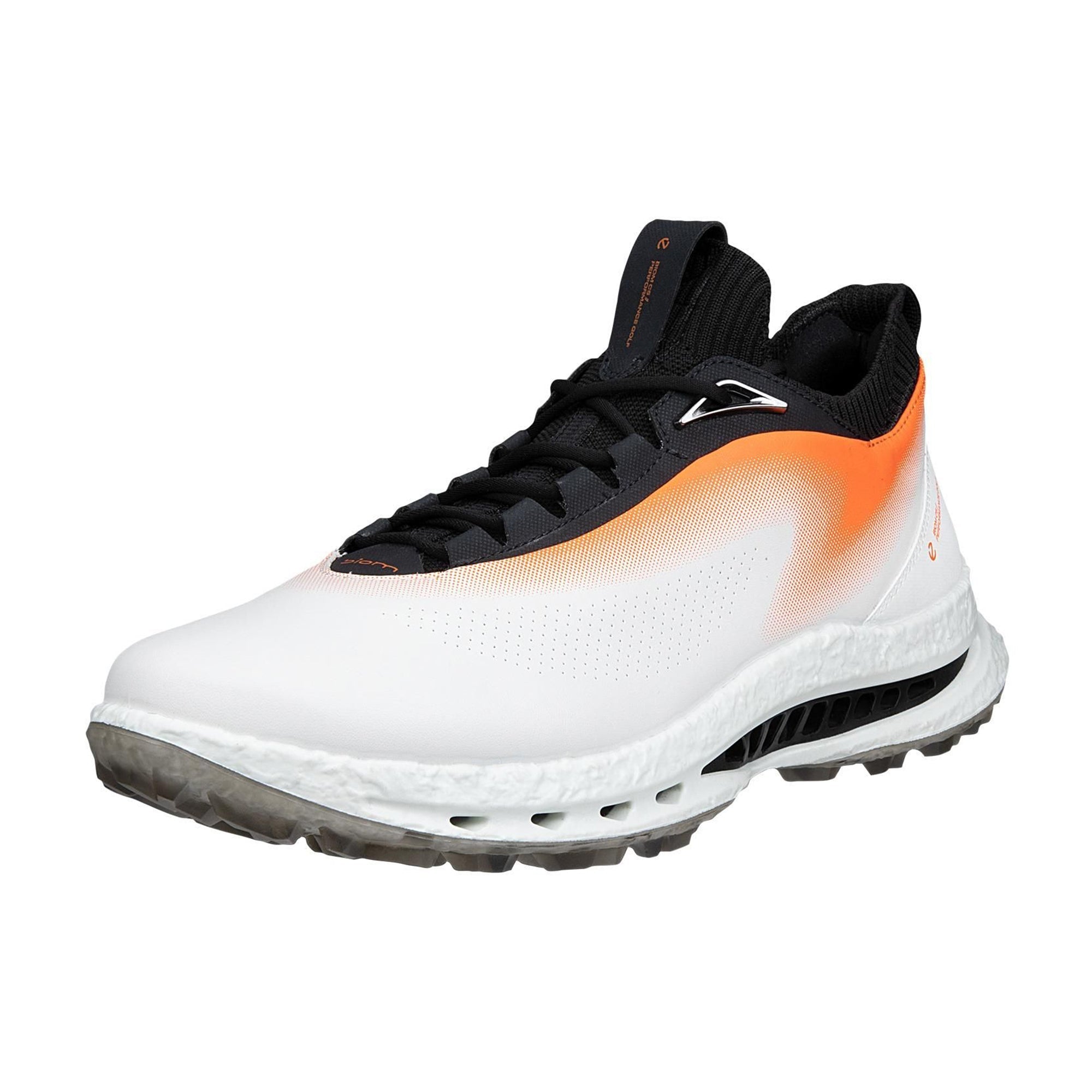 Ecco Biom C5 Golf Shoe